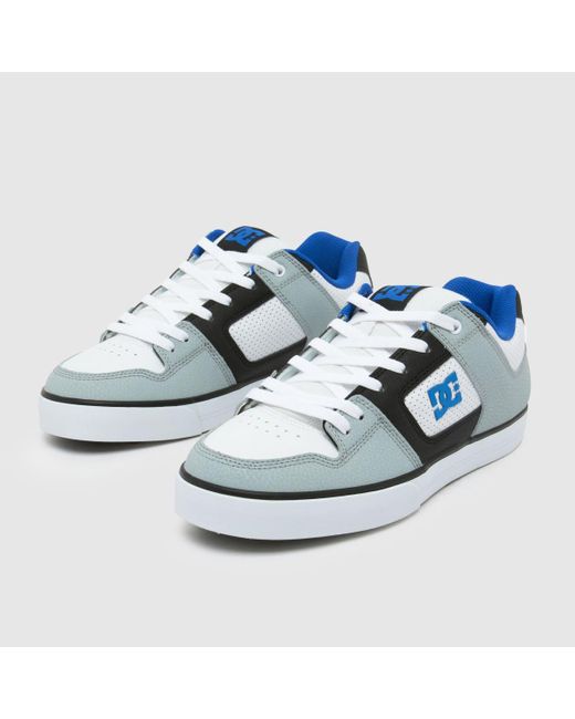 Dc Blue Pure Trainers for men