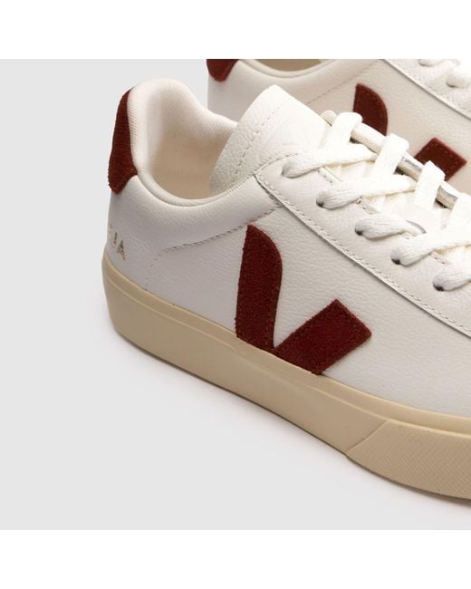 Veja Pink Campo Trainers