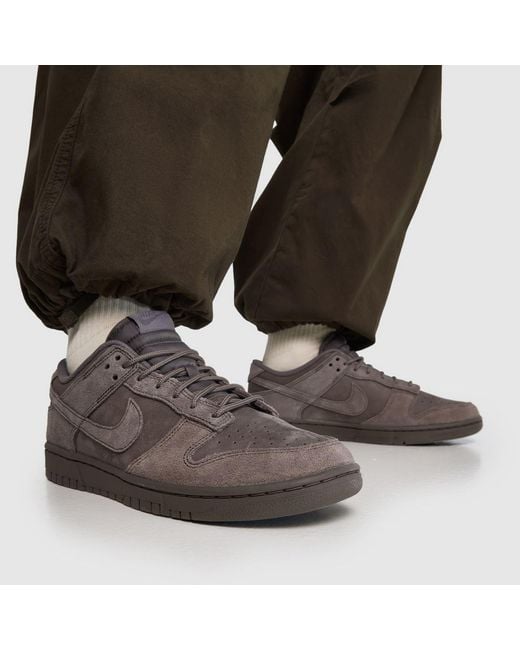 Nike Brown Dunk Low Trainers for men