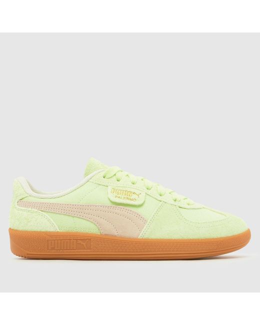 PUMA Yellow Palermo Trainers