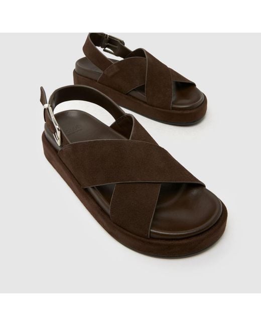 Schuh Brown Tennessee Suede Sandals