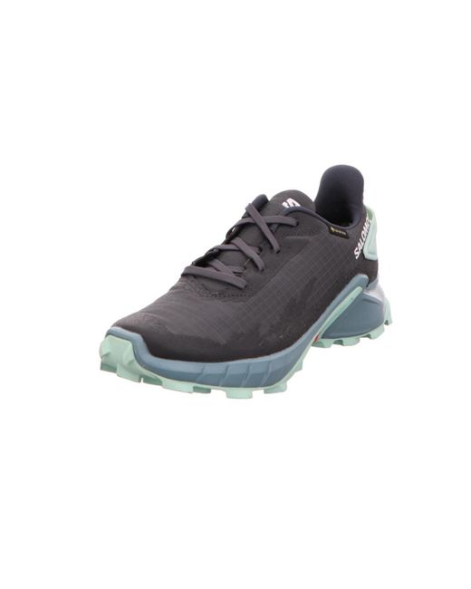 Salomon Blue Alphacross 4 Gtx Dunkel_Grau