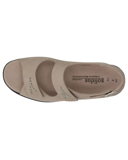 SOLIDUS Brown 73151 40032