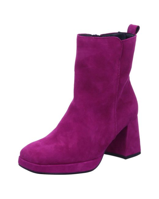 Gabor Purple 55.720 10