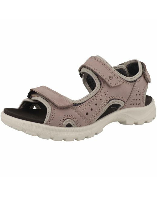 Ecco Brown Onrodas Taupe
