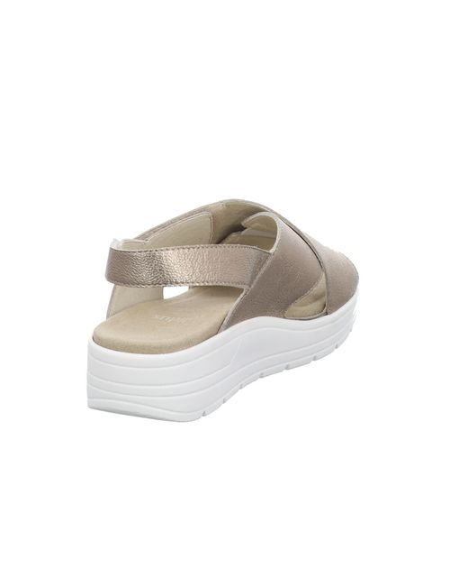 SOLIDUS Natural 48003 40312