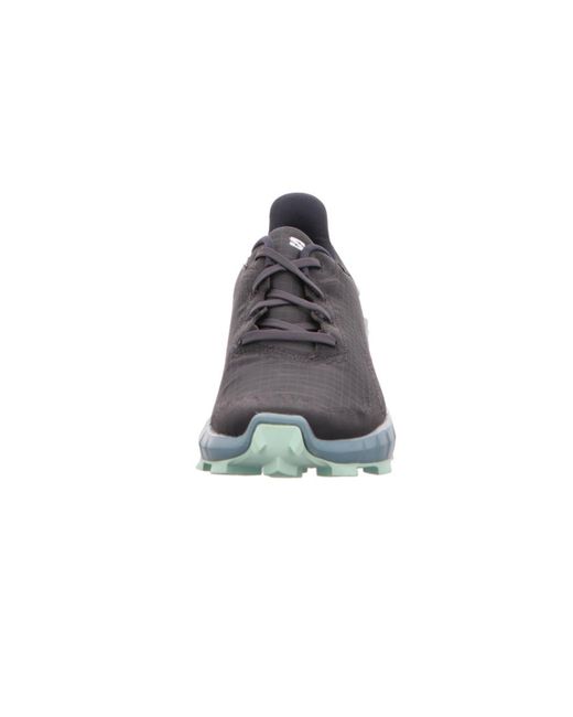 Salomon Blue Alphacross 4 Gtx Dunkel_Grau