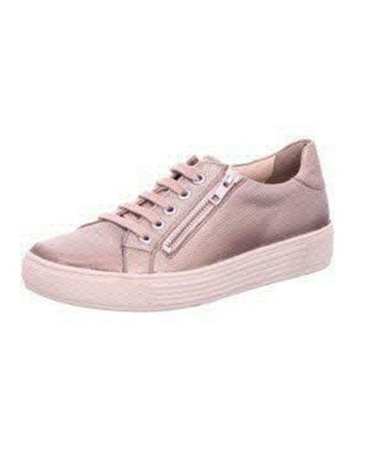 SOLIDUS Pink 37004