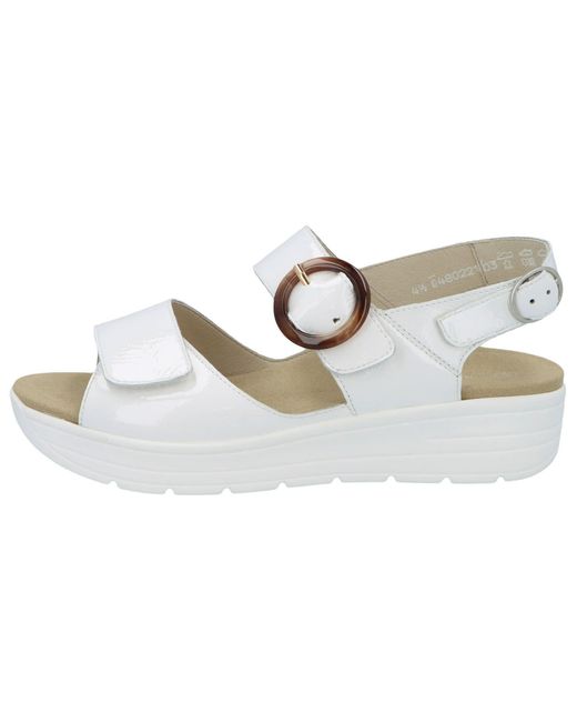 SOLIDUS Metallic 48022 10300