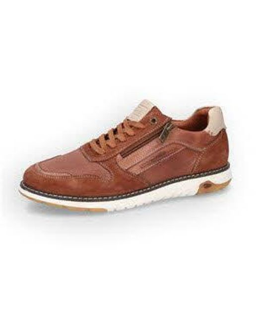 Camel Active Schuhe in Brown für Herren