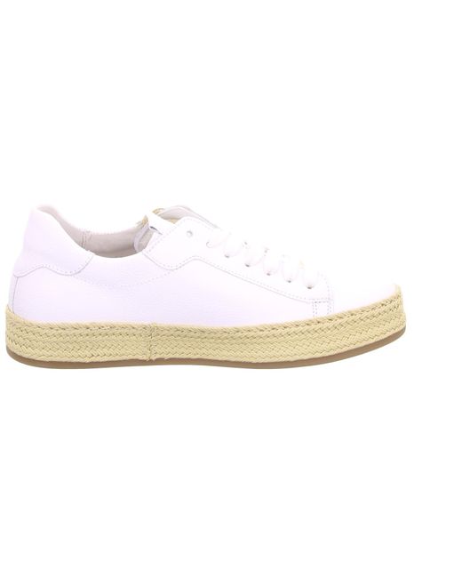 Gabor White Sneaker