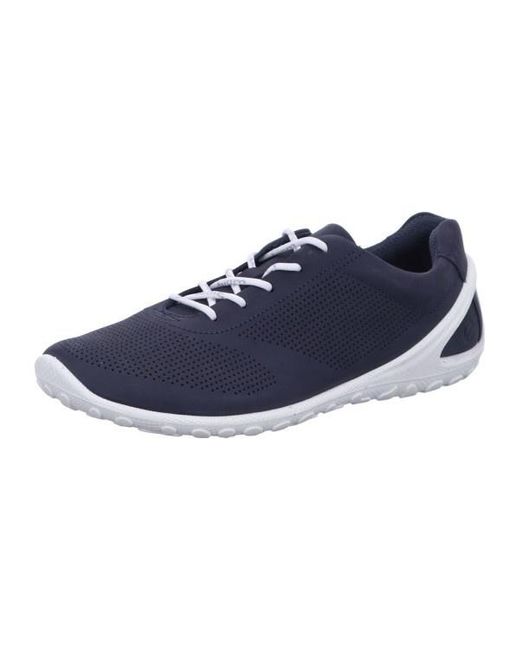 Ecco Blue Biom