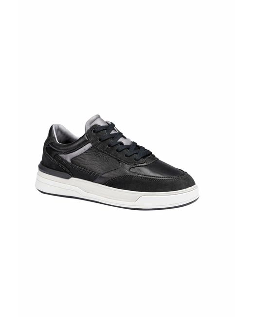 Lloyd Herren Low Sneaker in Black für Herren