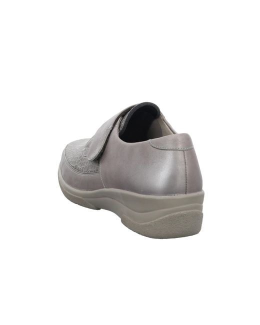 SOLIDUS Gray Metall
