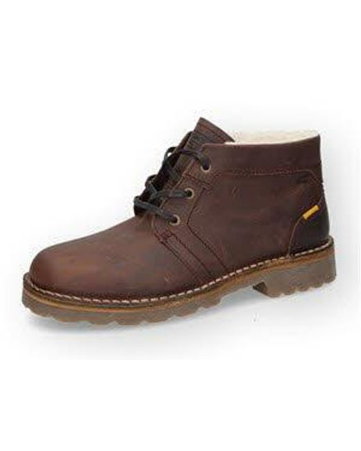 Dockers By Gerli Cado102400320 in Brown für Herren