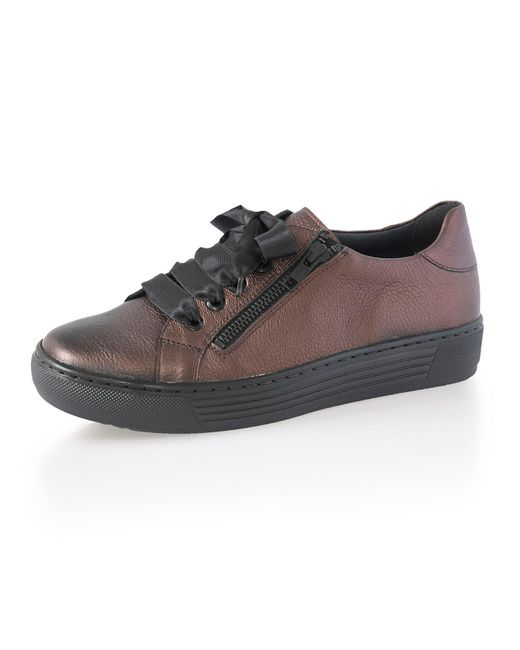 SOLIDUS Brown 37004