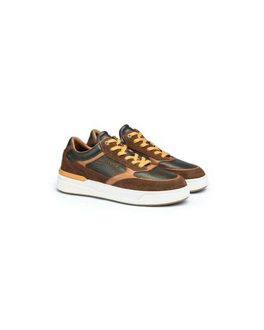 Lloyd Herren Low Sneaker in Multicolor für Herren