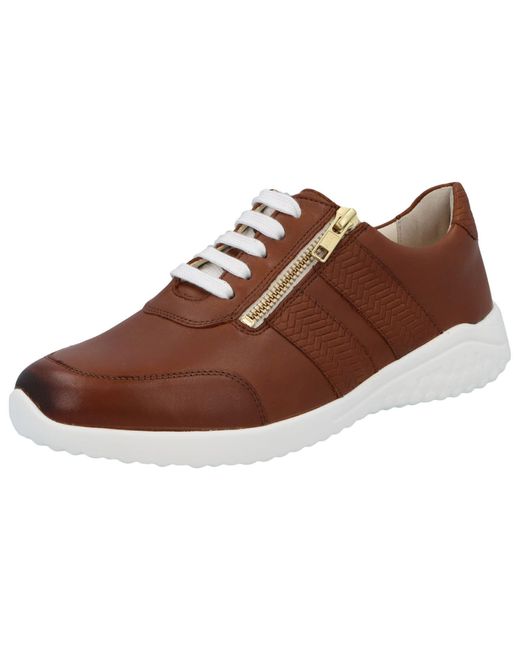 SOLIDUS Brown 60000 30510