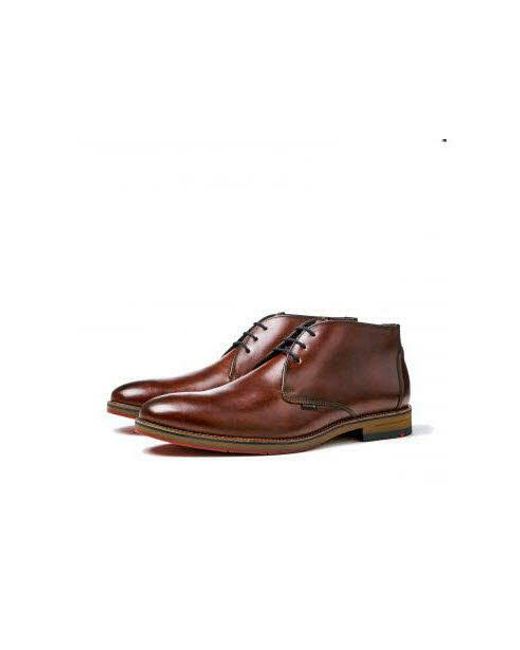 Lloyd Verdon Uni in Brown für Herren