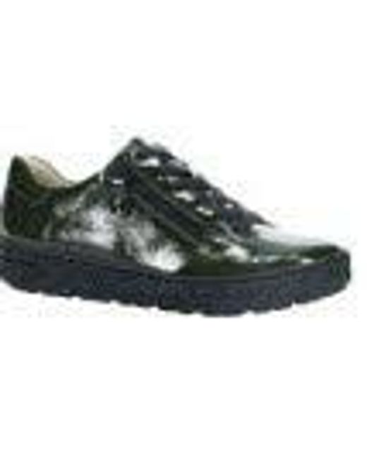 Hartjes Gray Phil