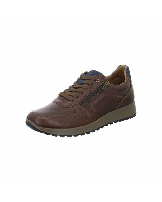 Ara Matteo Cognac in Brown für Herren