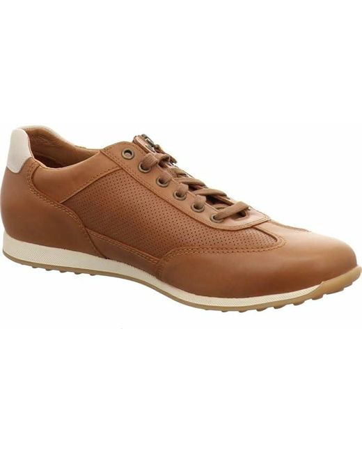 Mephisto Leon Hazelnut 6135 in Black für Herren