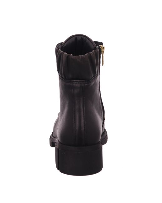 SOLIDUS Black Solidus Schwarz 3,5