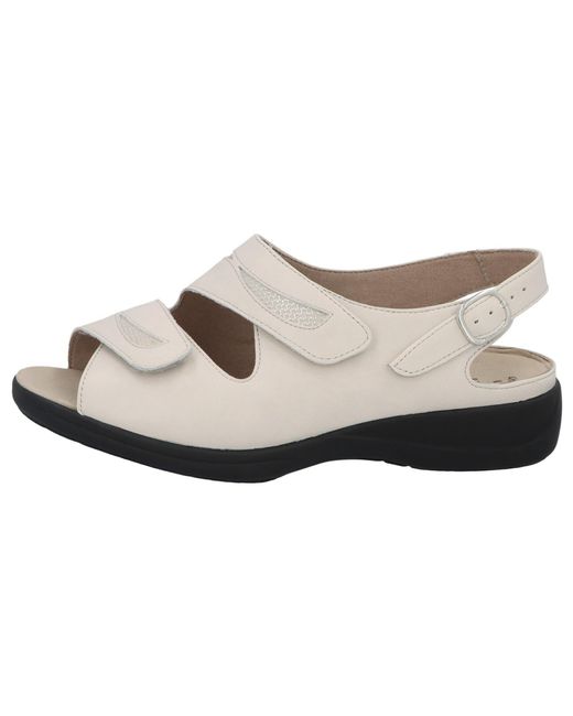 SOLIDUS Multicolor 73113 40545