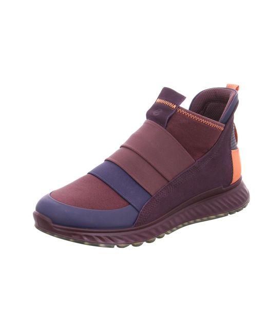 Ecco Purple Rec.St.1 W