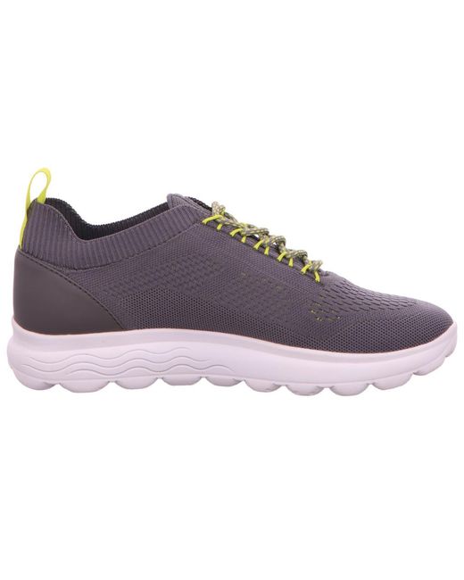 Geox Dunkel_Grau in Purple für Herren