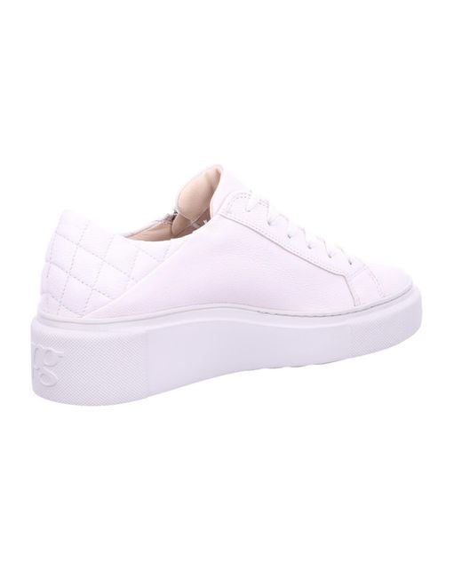 Paul Green White 5070-009