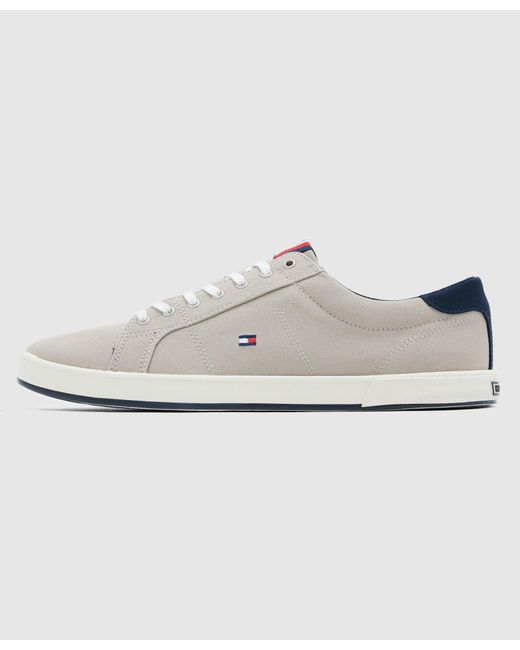 tommy hilfiger trainers scotts