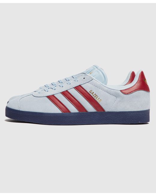 grey infant gazelle