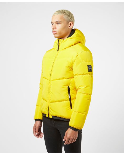 Marshall Artist Paninaro Padded Bubble Jacket in Yellow