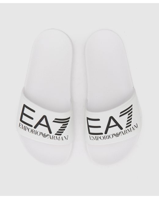 ea7 seaworld slides