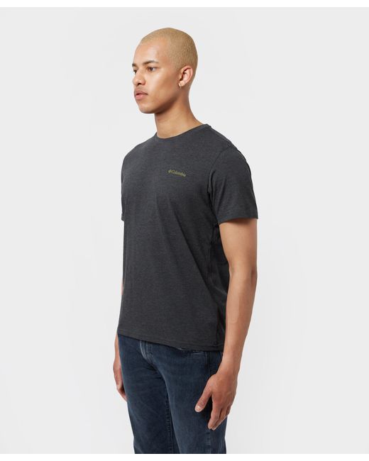 Columbia Cotton High Dune Graphic T 