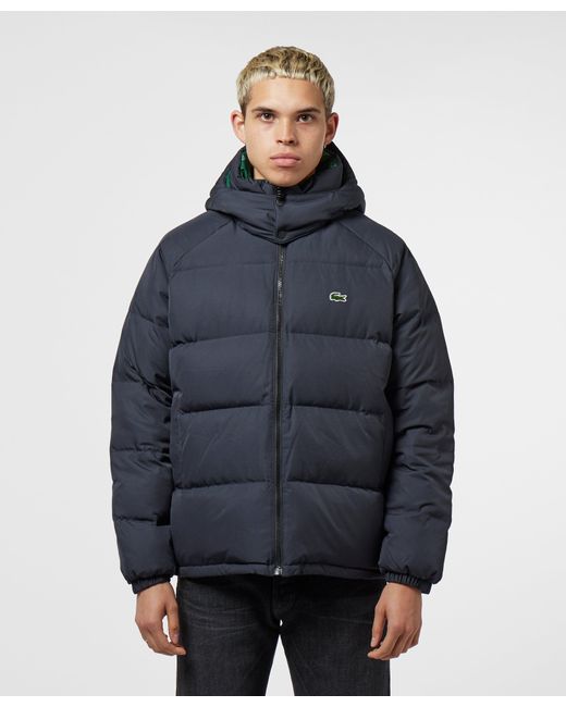 Lacoste Live Reversible Down Padded Jacket in Blue for Men | Lyst
