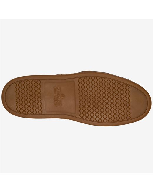 Challenge di Sebago in Brown da Uomo