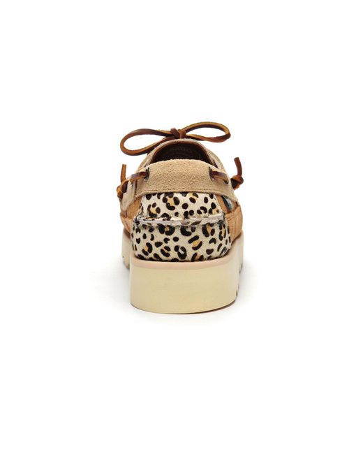 Cayuga Wild di Sebago in Natural