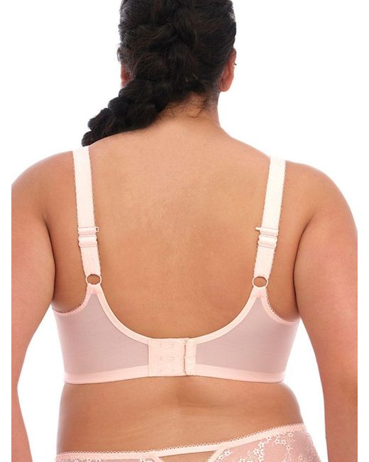 Elomi Brown Charley Side Support Plunge Bra