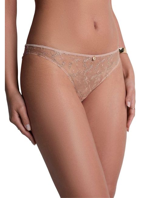 Aubade Brown Sound Of Heart Italian Brief