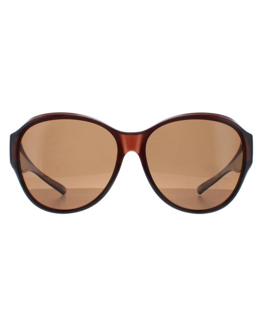 Smarty Brown Round Transparent Ef X2115