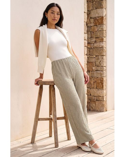 Roman Natural Petite Textured Stretch Trouser