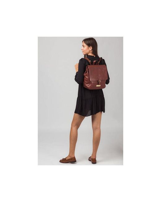 Pure Luxuries Brown 'Daisy' Leather Backpack