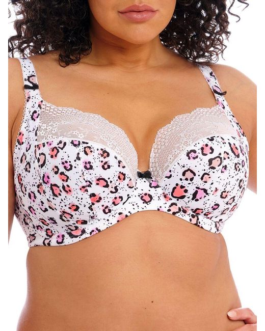 Elomi White Lucie Plunge Bra Rumble
