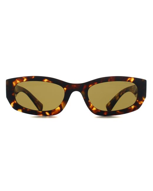 Miu Miu Brown Oval Havana Honey Dark Mub04S