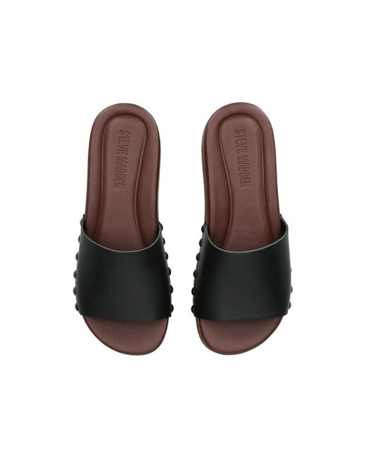 Steve Madden Brown Leather Conga Sandals