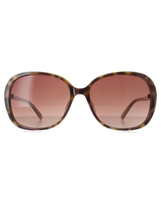 Ted Baker Brown Butterfly Tortoise Tb1603 Rios