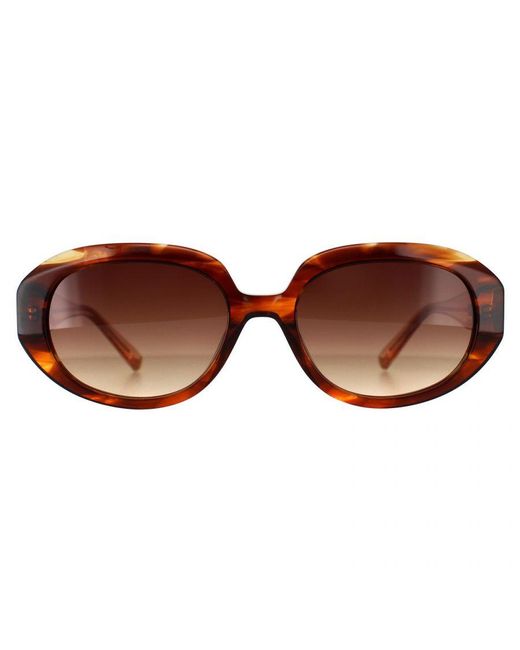 Ted Baker Brown Oval Horn Gradient Tb1689 Penny