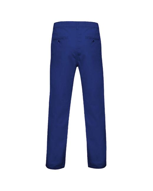 Asquith & Fox Blue Classic Casual Chinos/Trousers (Royal) for men